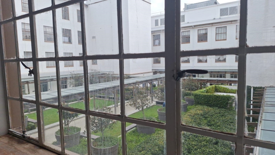 To Let commercial Property for Rent in Newlands Western Cape